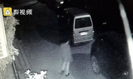 打小女孩屁股视频,揭秘打小女孩屁股视频事件